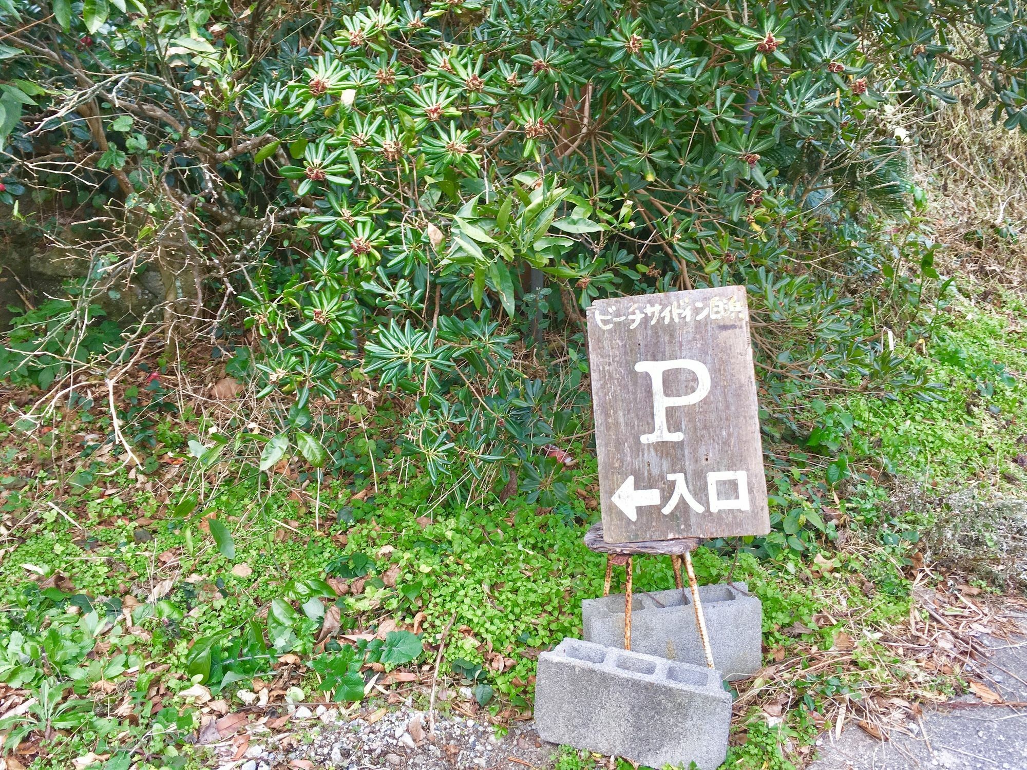 Beach Side Inn Shirahama Shimoda  Exterior foto